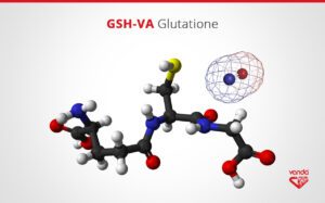 Scopri di più sull'articolo Glutatione a cosa serve ?