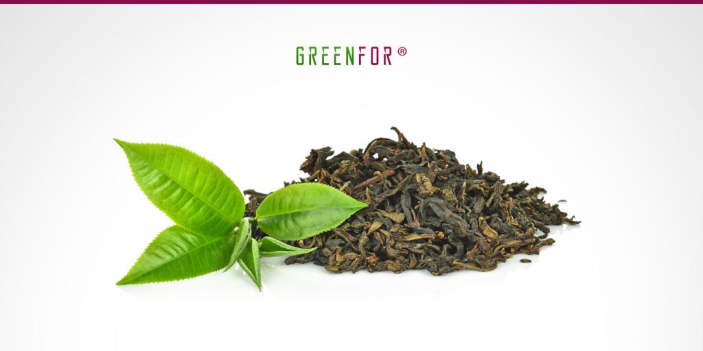 Tè verde: proprietà antiossidanti e dimagranti